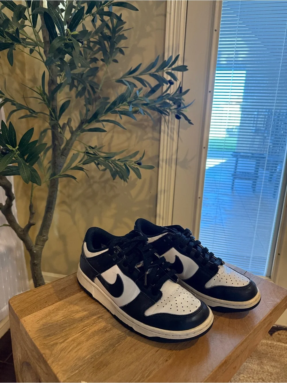 Nike Black and White Low-Top Sneakers